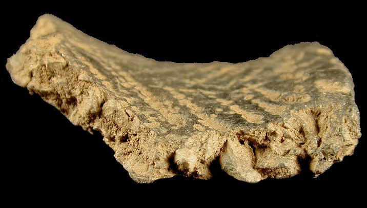 Clemson Island sherd cross-section showing paste with crushed rock temper from the Herman Barton Village, site 18AG3/48.